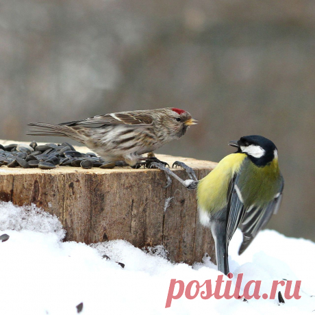 Не бойся! Я тебя держу