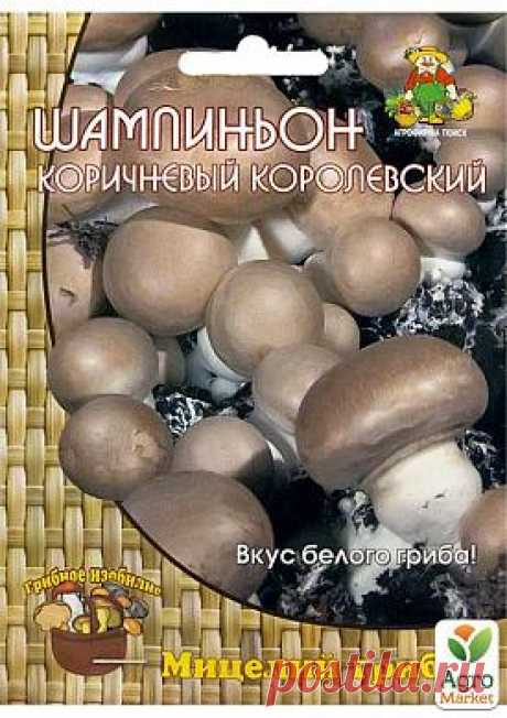 Шампиньон "Коричневый королевский" ТМ "Поиск" 60мл - Лук, чеснок, картошка и грибы - купить в Одессе, Украине по цене 80 грн - Agro-Market