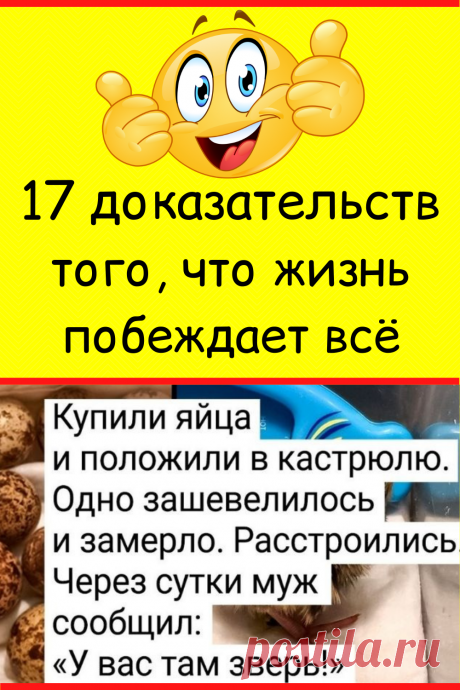 Ольга не смогла пройти мимо продрогшего бездомного и пригласила его погреться, она даже не представляла, чем это обернется