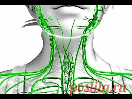 Чистим ЛИМФАТИЧЕСКУЮ систему на Раз - Два!