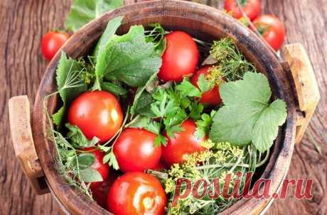 Солёные помидоры в бочке рецепт с фото - Приглашаем к столу