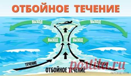 Опасность морского побережья, о которой надо знать — Все о туризме и отдыхе