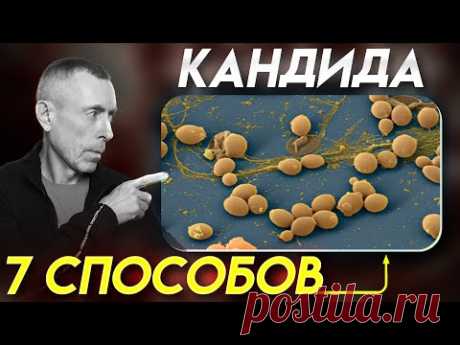 7 Способов, Как Избавиться от Кандиды