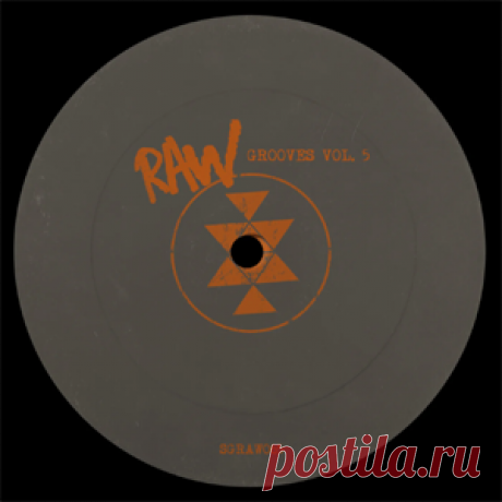 Various Artists - Raw Grooves, Vol.5 | download mp3