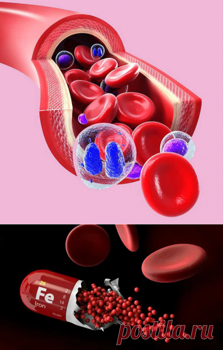 Почему необходимо контролировать уровень железа в организме - ПолонСил.ру - социальная сеть здоровья - 3 марта - 43119864748 - Медиаплатформа МирТесен