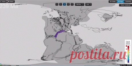 Континенты от Пангеи до настоящего времени за 12 секунд