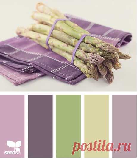 Design Seeds® | for all who ❤ color | asparagus tones