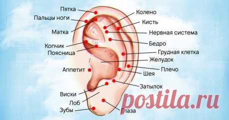 Точки на ушах, которые помогут снять боль и быть здоровым