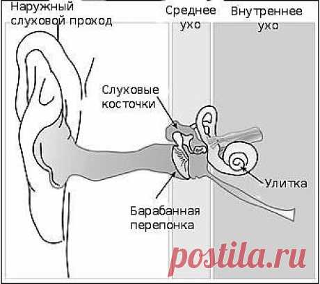 Стреляет в ухе - Нарушение слуха - Каталог статей - Нарушение слуха