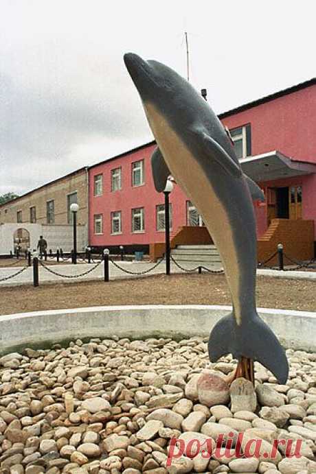 Черный Дельфин , двор тюрьмы для пожизненно заключенных. Соль-Илецк, Оренбургский, Южный Урал.