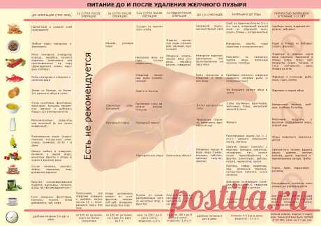 Питание после удаления желчного пузыря с первых дней до 1 года