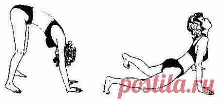 (45) Одноклассники    Восстанови позвоночник с помощью 5 упражнений! Знаменитая система оздоровления от Поля Брэгга.