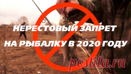 Весенний запрет на рыбалку в 2020 году по всем регионам РФ