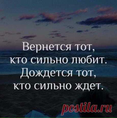 Кошка: Как сложится судьба, никто не знает. Живи свободно и не бойся перемен. Когда Господь чего-то забирает, Не упусти того, что Он дает взамен..