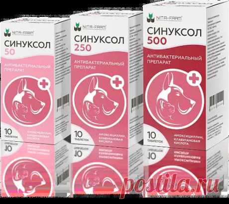 Синуксол 50, 250, 500: купить ветеринарные препараты с доставкой по России и странам СНГ в компании NITA-FARM