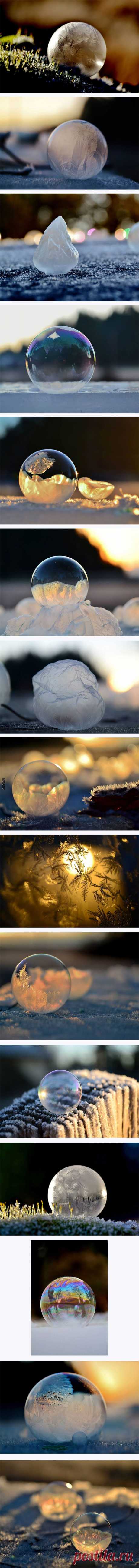 Huru.ru :: Мыльные пузыри, выпущенные при -19 градусах (15 фото)