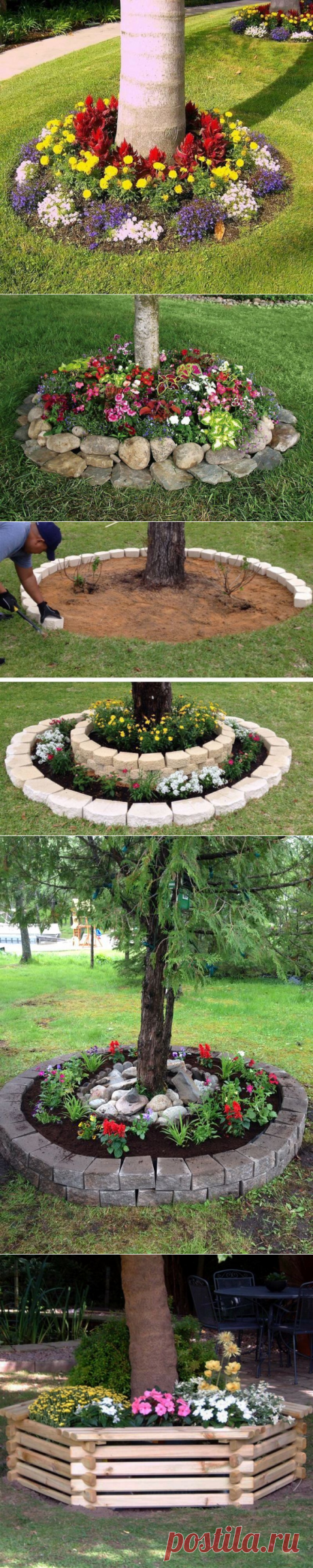 Оригинальные идеи сочетания цветов и деревьев — Сделай сам, идеи для творчества - DIY Ideas