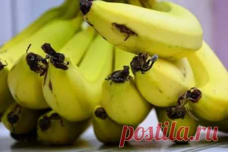 Неизвестные полезные свойства бананов Рекомендуемая пищевая культура способна предотвращать появление камней в почках, она улучшает работу сосудов, сердца и влияет на состояние костей. Бананы содержат метионин, лизин, триптофан, аскорбиновую кислоту, фосфор, железо, бета-каротин, калий и магний. В плодах имеются углеводы,...