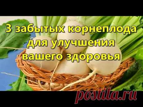 - Эти 3 корнеплода в вашем рационе, улучшат здоровье и помогут похудеть -