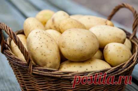 Польза и вред картофельного сока
