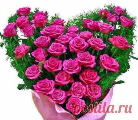 Эти розы я хочу подарить всем моим друзьям в Одноклассниках!