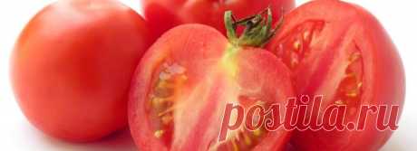 Как вырастить вкусные помидоры | Азбука садовода