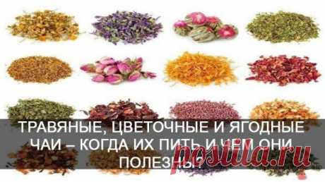 ТРАВЯНЫЕ, ЦВЕТОЧНЫЕ И ЯГОДНЫЕ ЧАИ 🌸 🌸🌸 🌸🌸 🌸🌸 🌸🌸 🌸🌸 🌸🌸 🌸 КОГДА ИХ ПИТЬ И ЧЕМ ОНИ ПОЛЕЗНЫ — Полезные советы