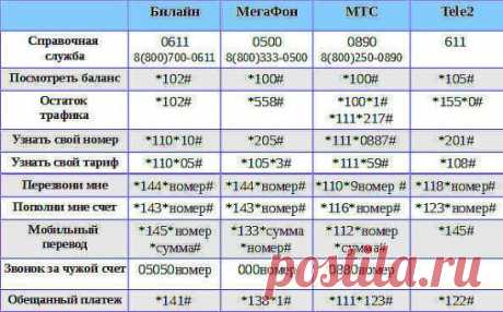 Полезные советы