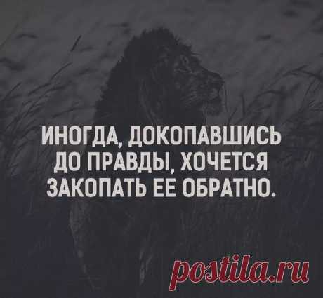 красивые картинки про жизнь со смыслом и надписями — Яндекс: нашлось 9 млн результатов