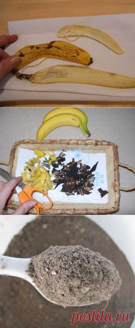 Awesome Photo of Dried Banana Peel Fertilizer | seepicz - See Epic Pictures