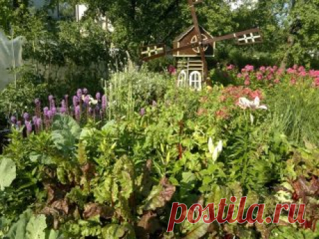 СОВЕТЫ ДАЧНИКАМ И ОГОРОДНИКАМ
Сохраните, чтобы не потерять!
Севооборот
1-й год — капуста, брюква, редька, редис;
2-й год — тыква, огурцы, кабачки;
3-й год — свекла, морковь, петрушка, лук, чеснок;
4-й год — помидоры, перец, баклажаны, бобовые, кукуруза. 
Овощи-предшественники
для капусты — картофель, огурцы, лук, горох, допустимы и томаты;
для помидоров, перца — огурцы, лук, бобовые, допустима капуста;
для огурцов — горох, бобовые, картофель, помидоры;
для лука — картофель, помидоры, горох, ог