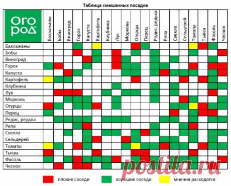 Смешанные посадки: выбираем лучших соседей для растений | Все о грядках (Огород.ru)