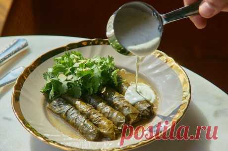 Ливанская долма: рецепт из ресторана Mina | Вкусономика | Дзен