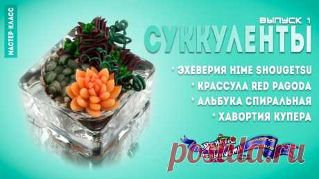 Как сделать суккуленты своими руками * Полимерная глина * Выпуск 1 * DIY В этом видео я покажу и расскажу как сделать цветочную композицию из четырех видов суккулентов. Это первый выпуск интересной и познавательной серии создания ...