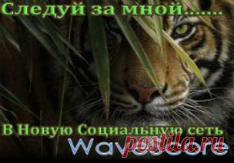 А можно ли в социальных сетях зарабатывать? Конечно же, такая огромная аудитория привлекательна для любого бизнеса, но для этого нужно быть бизнесменом. А что делать тем, кто не обладает деловыми способностями?
Оказывается можно получать деньги за то, что всегда в социальных сетях Вы делали бесплатно. Получайте удовольствие от общения и зарабатывайте!