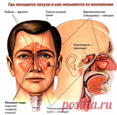 ЧУДО-КАПЛИ ОТ ГАЙМОРИТА