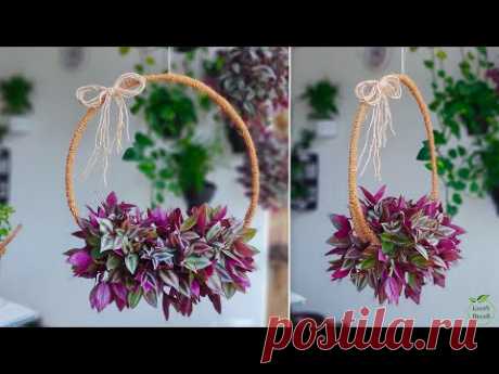 How to Make Hanging Ring Plants Decoration | Hanging Planters | Indoor Hanging Plants//GREEN DECOR