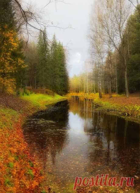 markova.yellow13 — «Заосенье.....» на Яндекс.Фотках