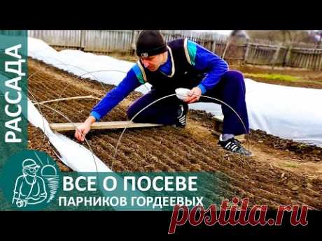 Выращивание рассады 🌿 Всё о посеве парников по технологии Гордеевых