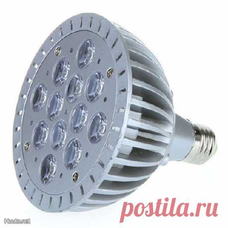 Led kasvivalaisin E27 12W, UUSI! - 79 kpl - 9.9 € - Muu kodin elektroniikka - Muu elektroniikka - Kodin elektroniikka - Huuto.net - (avoin)