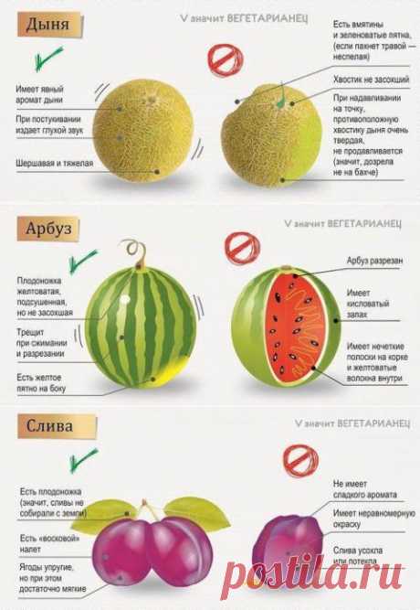 Правильно выбираем фрукты и ягоды | Мамам, женщинам, бабушкам и очень любознательным.