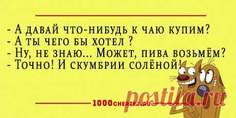 25 добродушных анекдотов в карточках, заряжающие словно батарейки