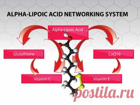 Альфа-липоевая кислота: Самый МОЩНЫЙ антиоксидант