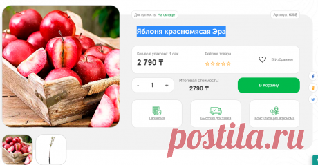 Купить Яблоня красномясая Эра с доставкой почтой по Казахстану-цена 2790 тенге