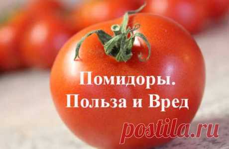Польза помидоров и малоизвестный вред помидоров и огурцов – Здоровье как усилие воли