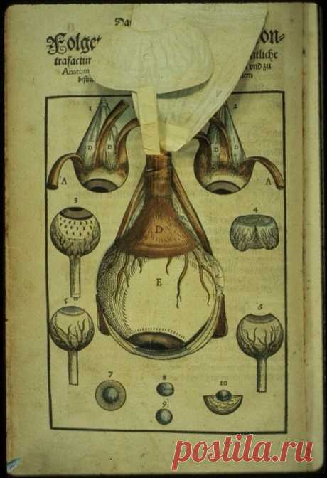 Руководство по офтальмологии, 1583 год: med_history — ЖЖ