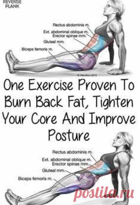 This One Exercise Proven To Burn Back Fat, Tighten Your Core And Improve Posture(Video Tutorial) – Toned Chick