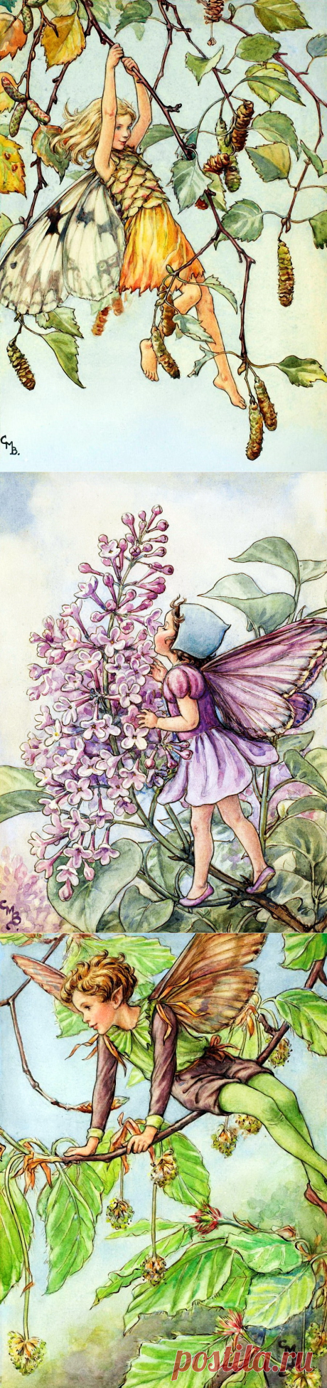 Добро пожаловать в мир Цветочных фей! Художница Cicely Mary Barker. Часть 2.