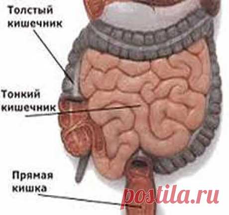 Запор... И это всё о нем | Я ЗДОРОВ!