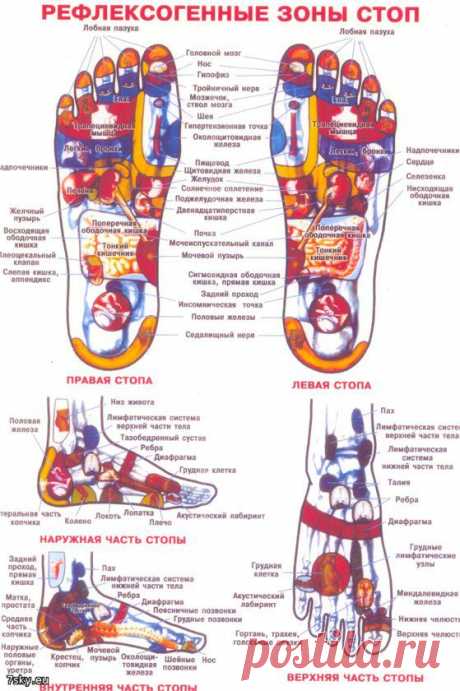 Рефлексогенные зоны стоп